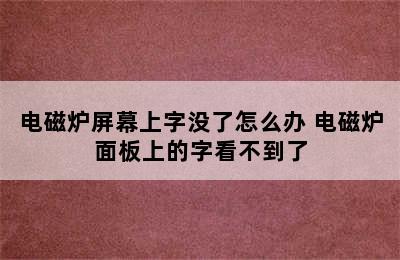 电磁炉屏幕上字没了怎么办 电磁炉面板上的字看不到了